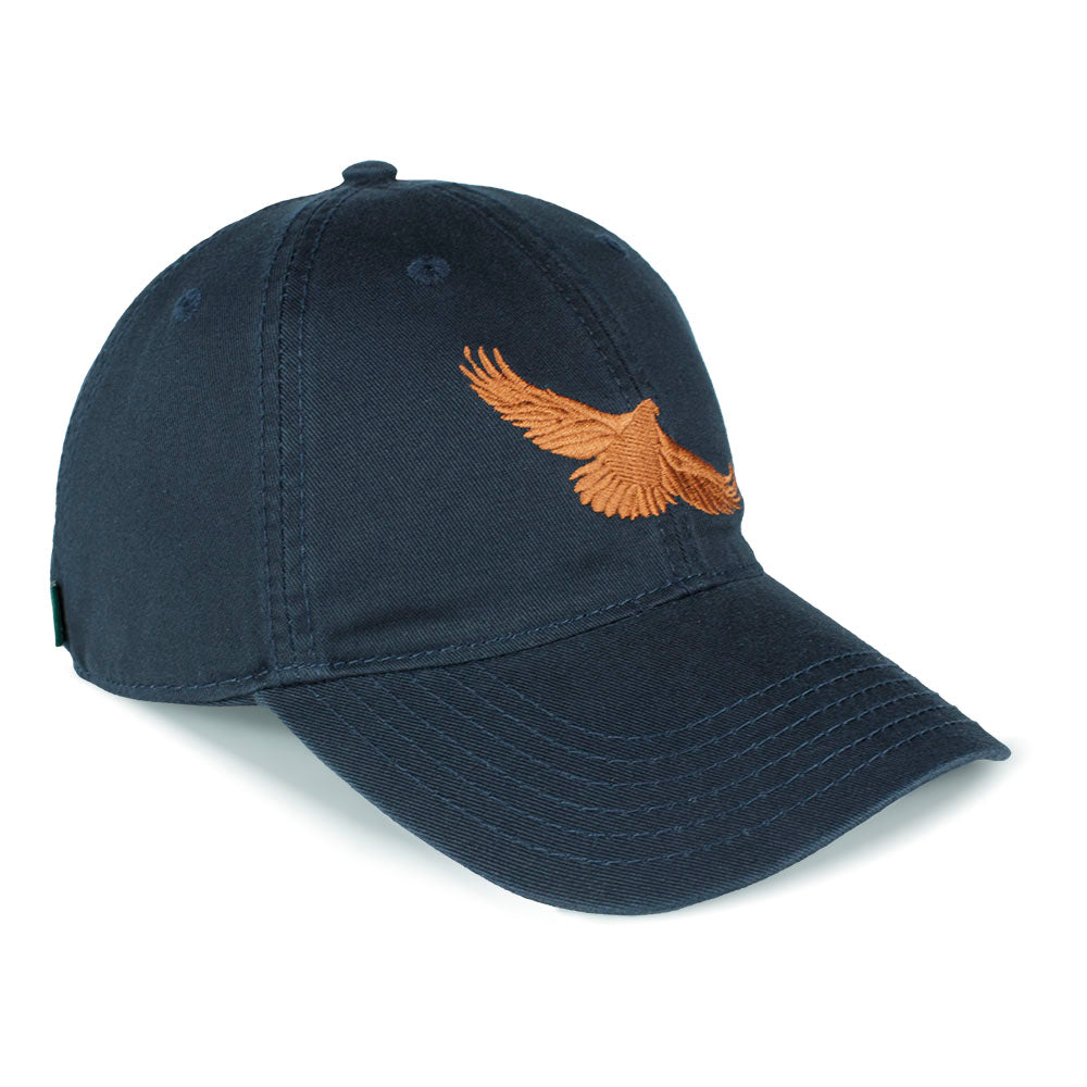 Golden Gate Raptor Observatory 40th anniversary baseball cap