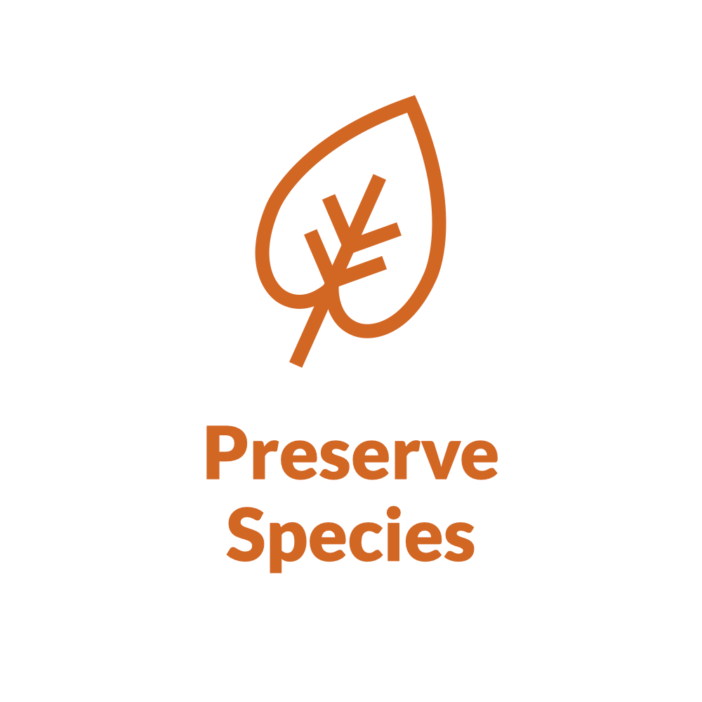 White circle with leaf design and text "Preserve Species"