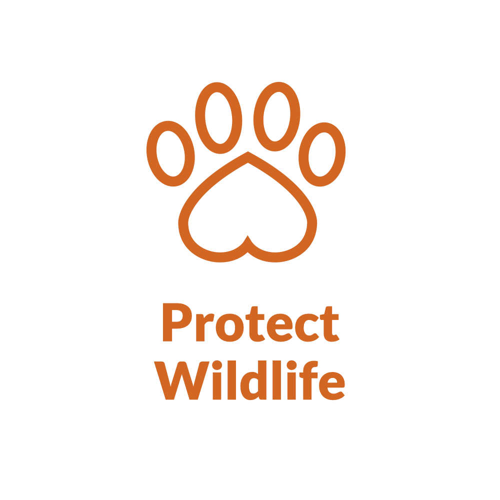 White circle with orange paw design and text Protect Wildlife