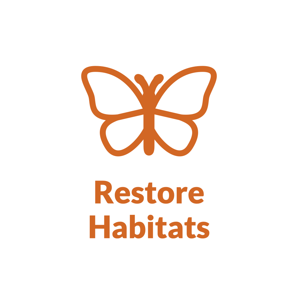 White circle with orange butterfly design and text Restore Habitats